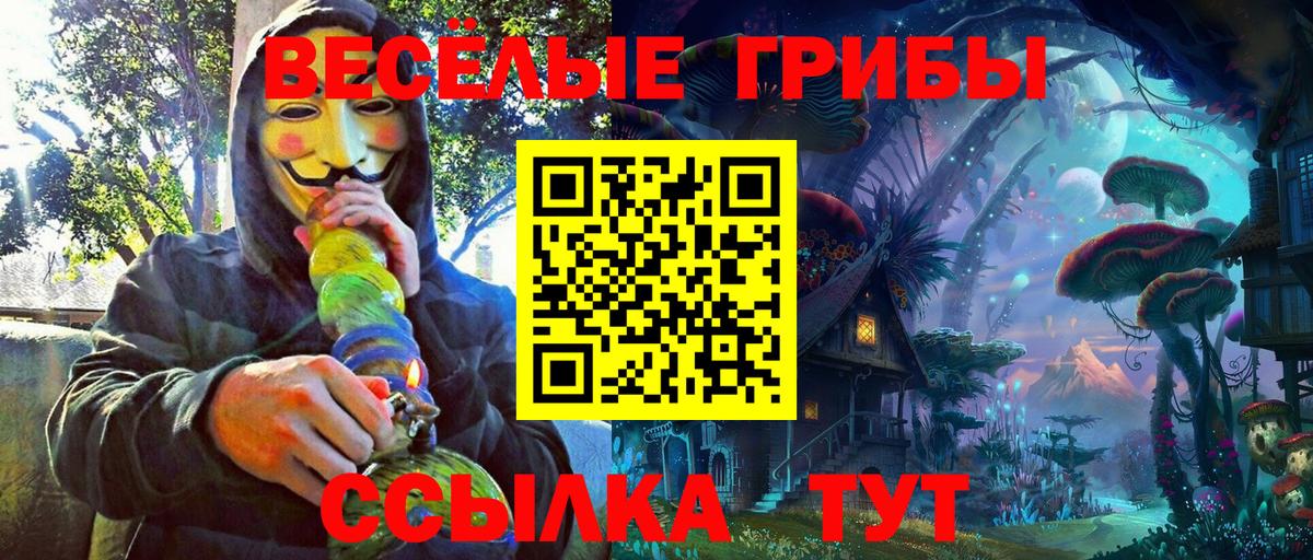 Псилоцибиновые грибы Cubensis Электрогорск
